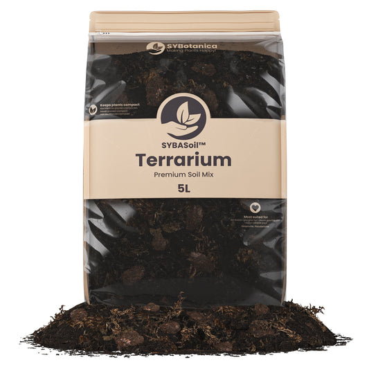 Sybotanica Terrarium Mix
