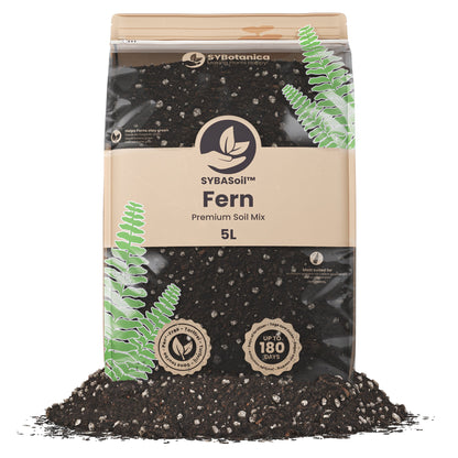 Sybotanica Fern Mix