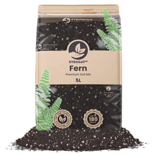 Sybotanica Fern Mix