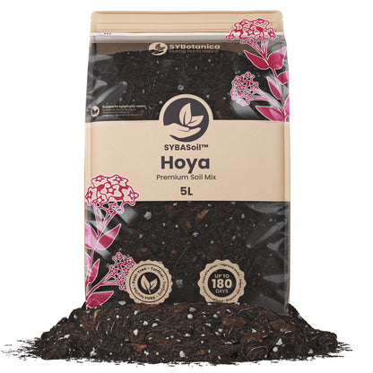Sybotanica Hoya Mix