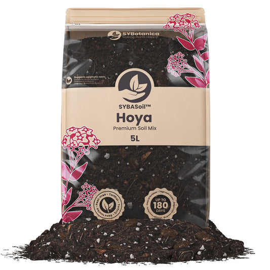 Sybotanica Hoya Mix