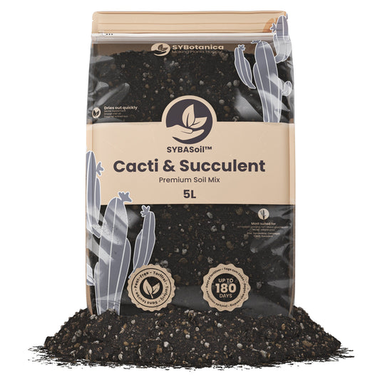 Sybotanica Cacti & Succulent Mix