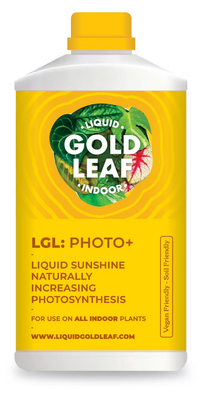 Plant Food Liquid Gold Leaf Photo+