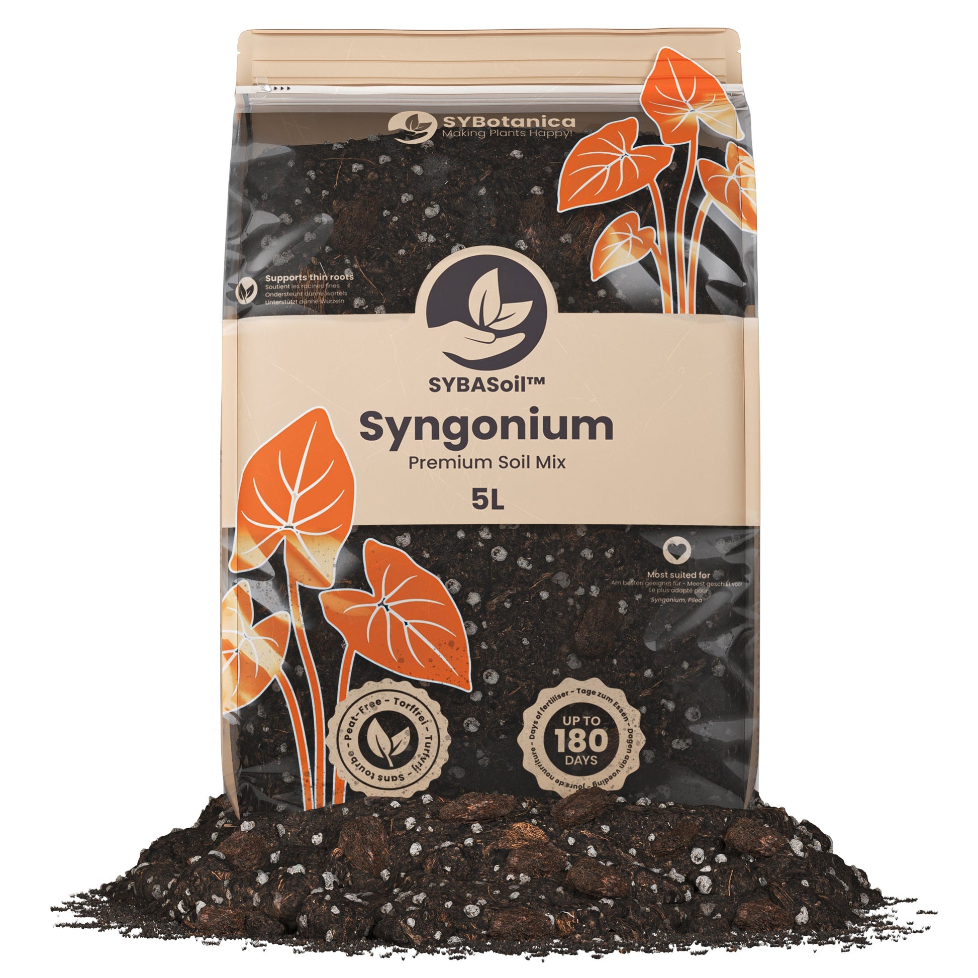 Sybotanica Syngonium Mix