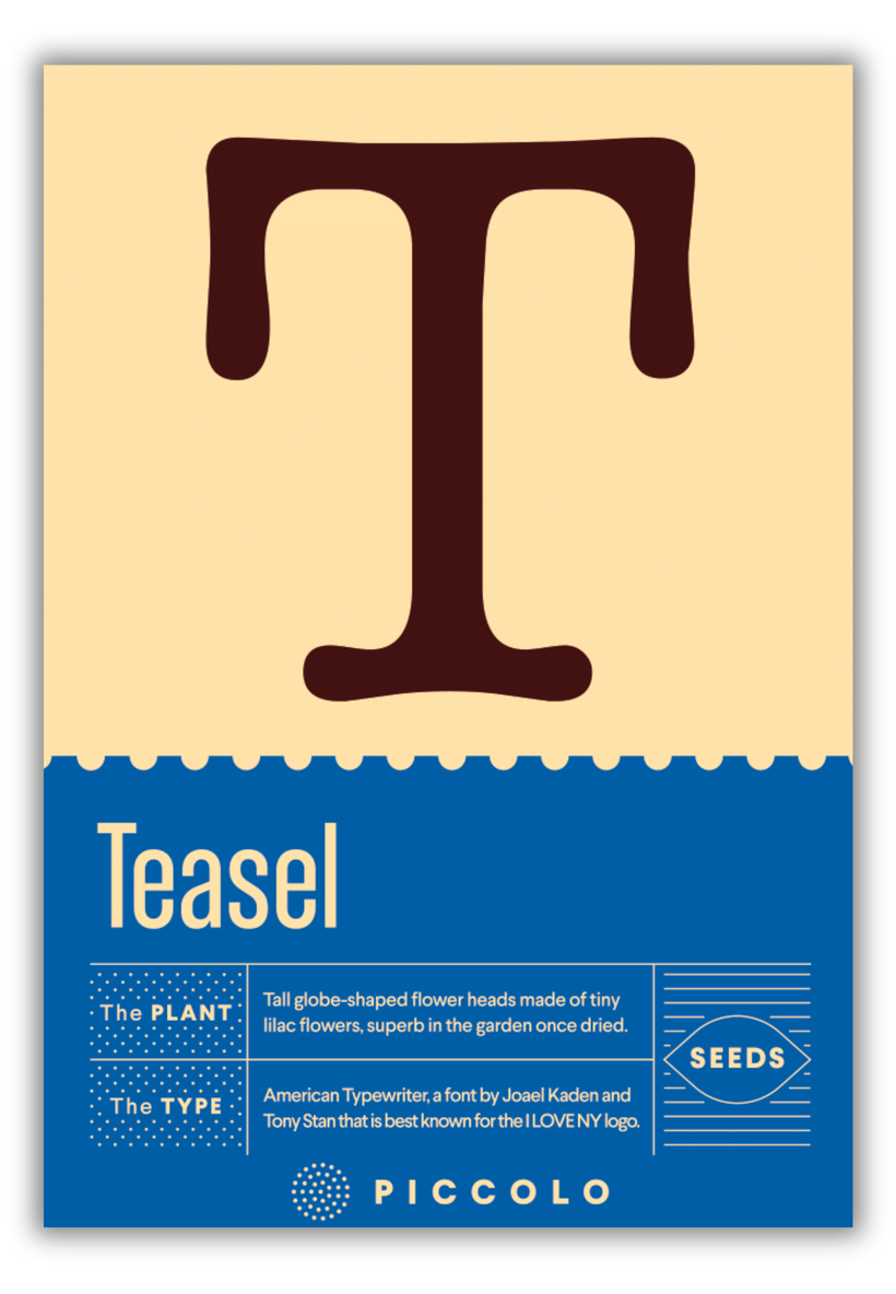 Flower Seeds Botanical Alphabet Collection