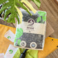 Sybotanica Aroid Mix (Monstera e.t.c.)