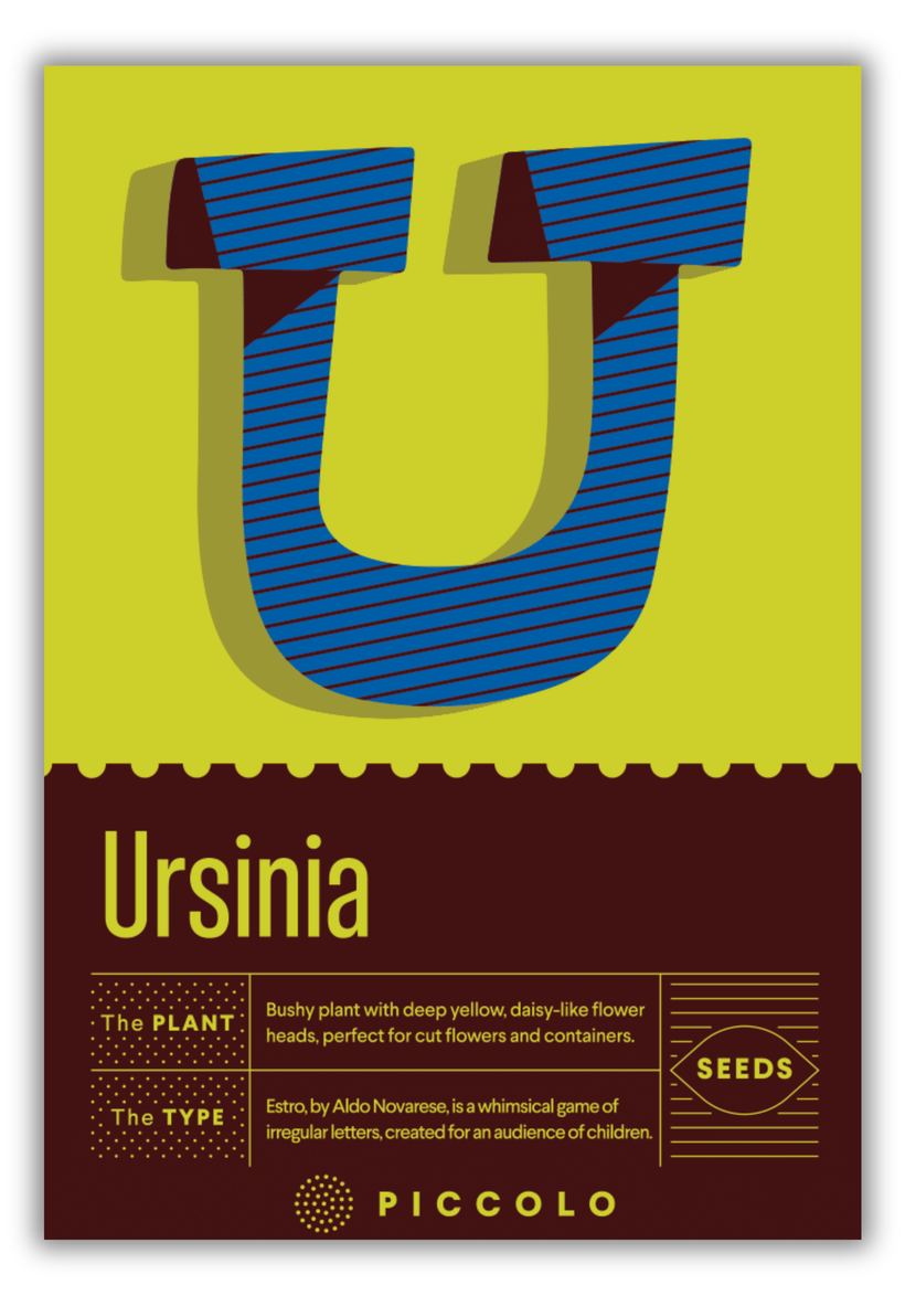 Flower Seeds Botanical Alphabet Collection