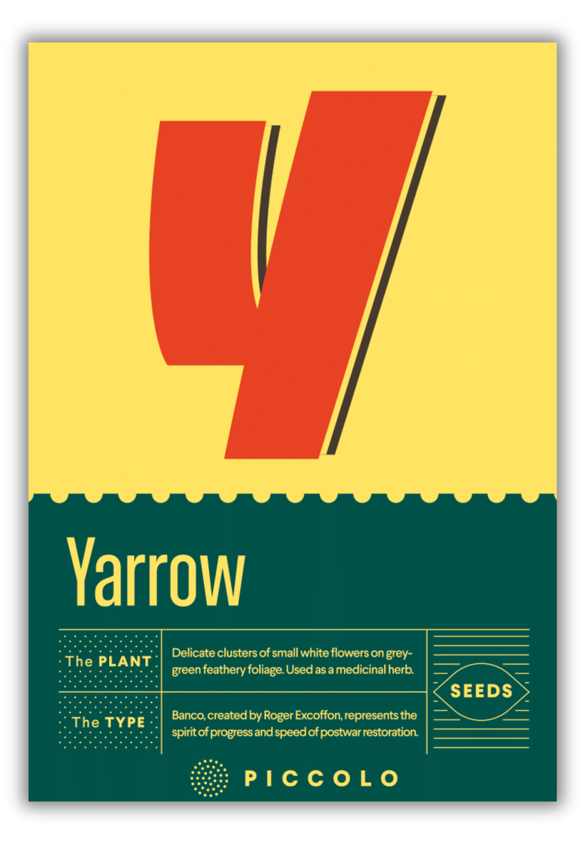 Flower Seeds Botanical Alphabet Collection