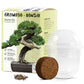 Grow2Go Bonsai Starter Kit Growing Set (Gift Idea)