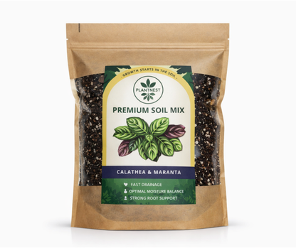 Substrate PlantNest 'Calathea & Maranta' 3L – Verd Houseplants