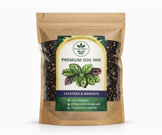 Substrate PlantNest 'Calathea & Maranta' 3L