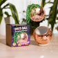 Disco Ball Hanging Planter - Rose Gold (4in)