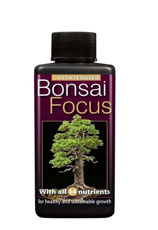 Bonsai Focus Plant Food 100ml