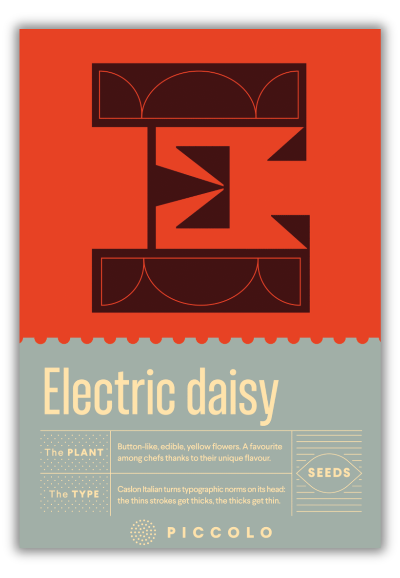 Flower Seeds Botanical Alphabet Collection