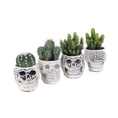 Mini Cactus + Pot Skull