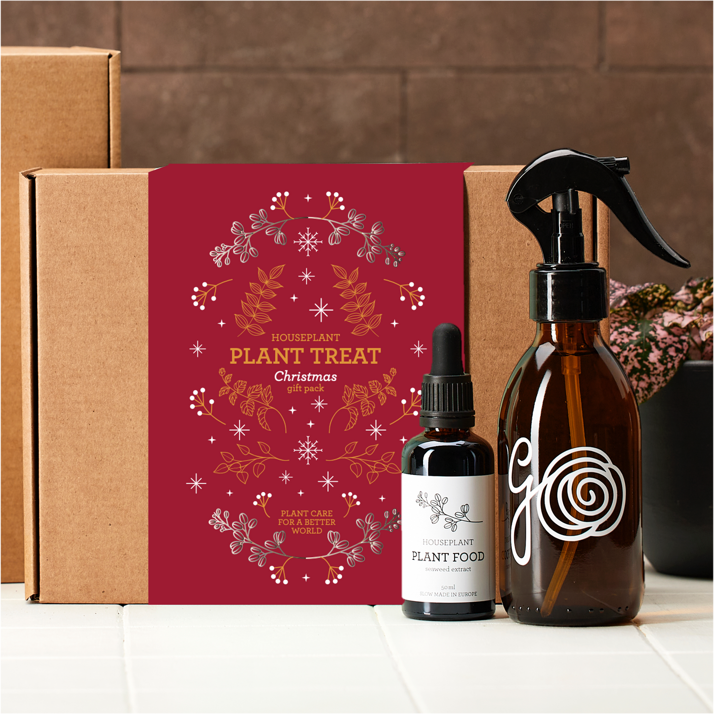 PLANT NURTURE KIT | Christmas Edition