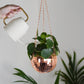 Disco Ball Hanging Planter - Rose Gold (6in)