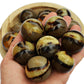 Septarian Sphere Crystal (25mm - 40mm)