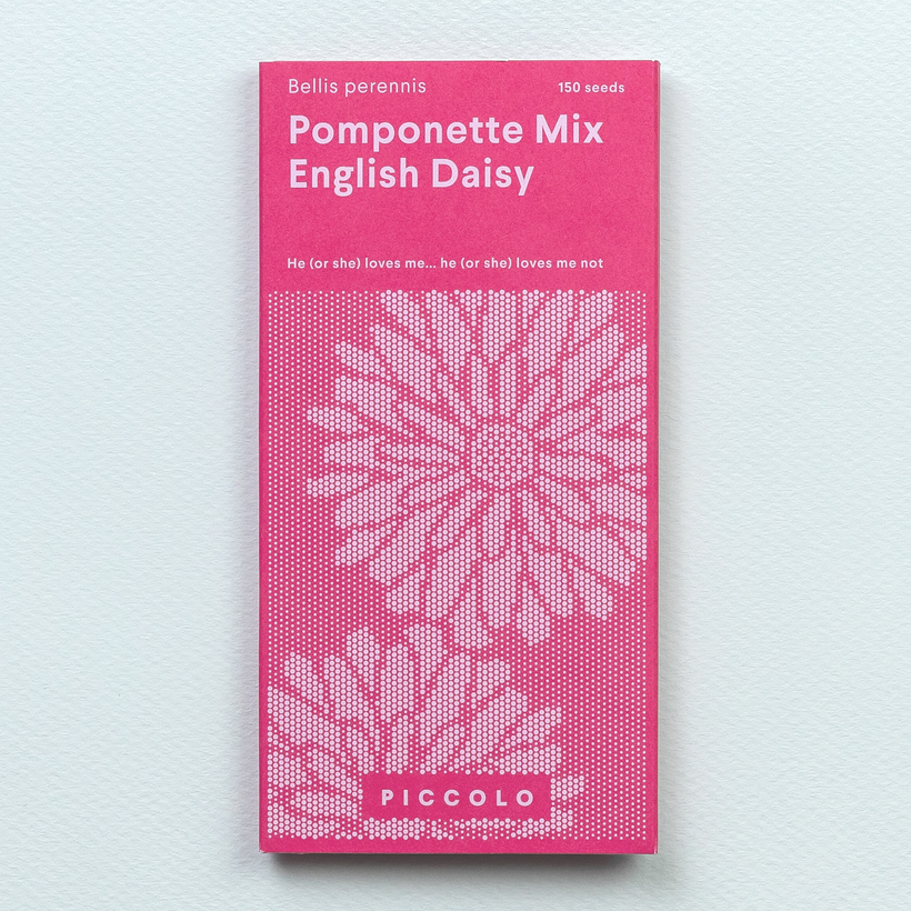 Seeds English Daisy Pomponette Mix