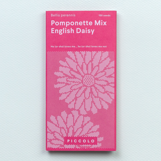 Seeds English Daisy Pomponette Mix