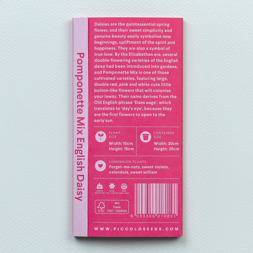 Seeds English Daisy Pomponette Mix
