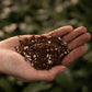 Sybotanica Fern Mix