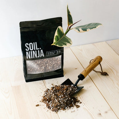 Substrate Soil Ninja 'Ficus Mix'