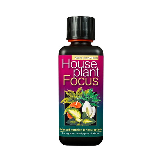 Houseplant Focus 100ml