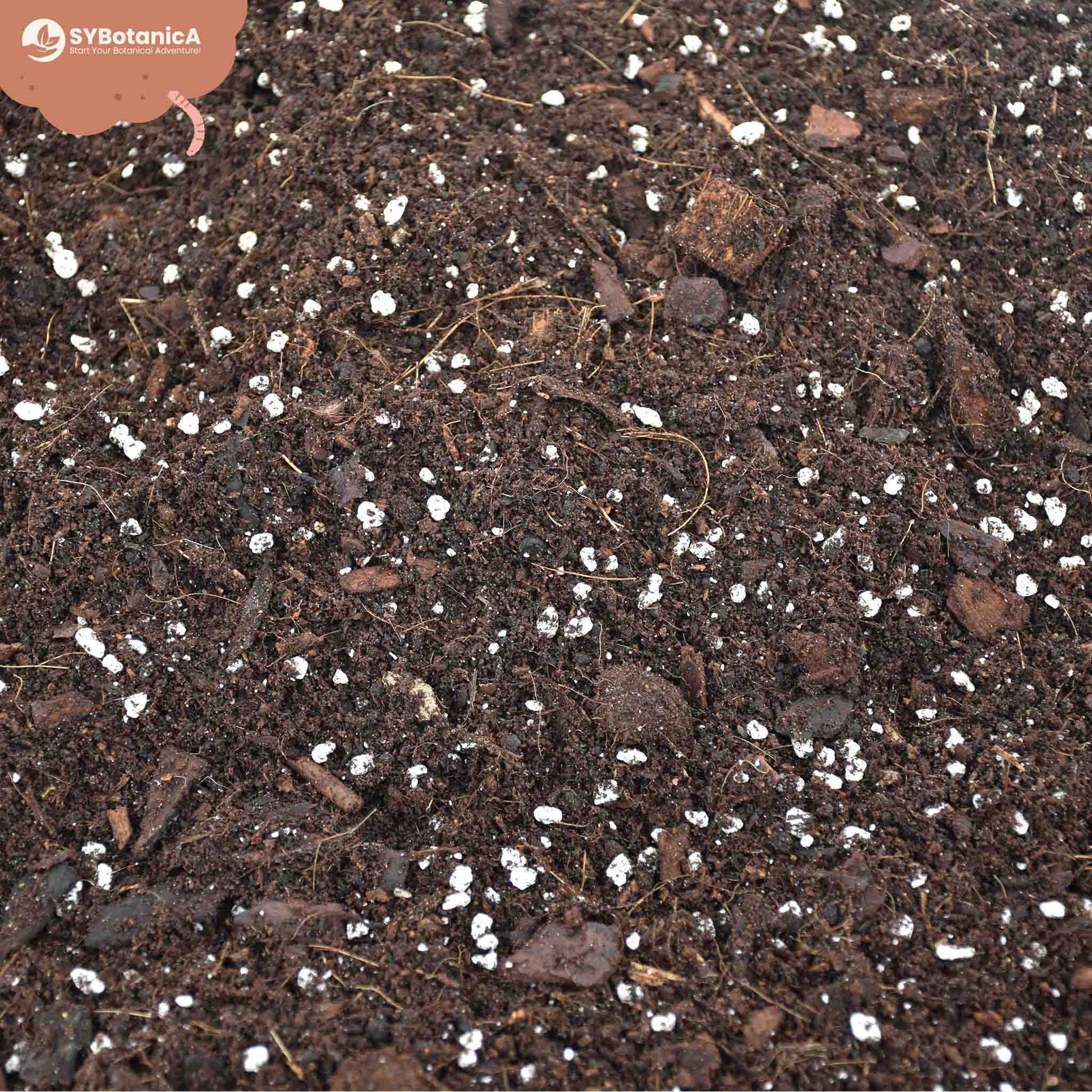 Sybotanica Hoya Mix