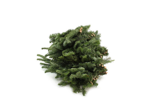 Pine Branches per Bunch