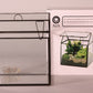 Terrarium Glasshouse ledlight in showbox