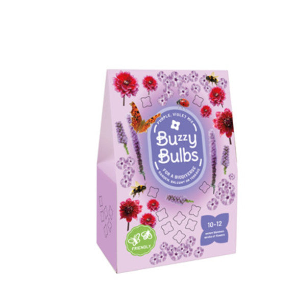 BAG BUZZY BULBS PURPLE-VIOLET MIX