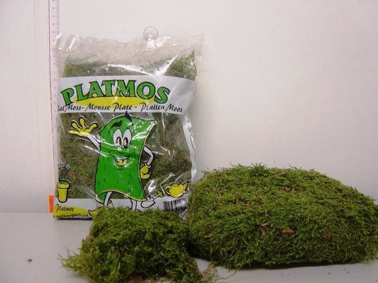 Moss Flat 50g