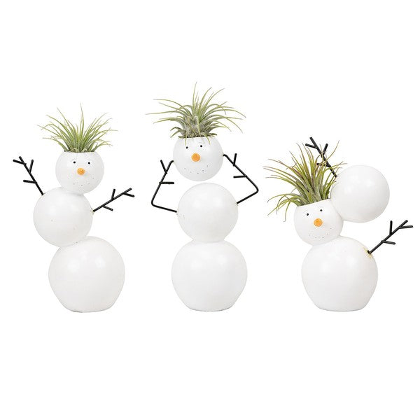 Tillandsia + ceramic Jumble