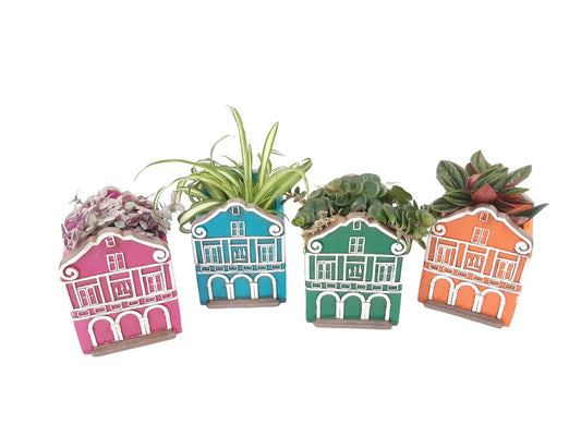 Compo Casa Caribbean Small