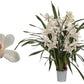 Cymbidium Lucky Kate 4t white
