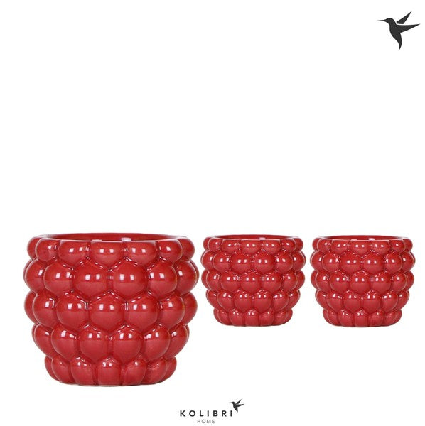 Ceramic Pot Berry