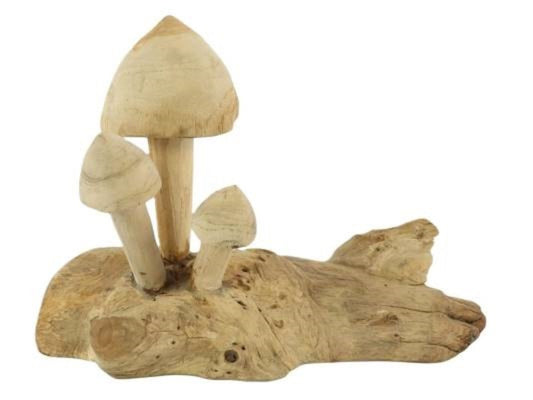Mushroom Teak Tiram L25W14H20