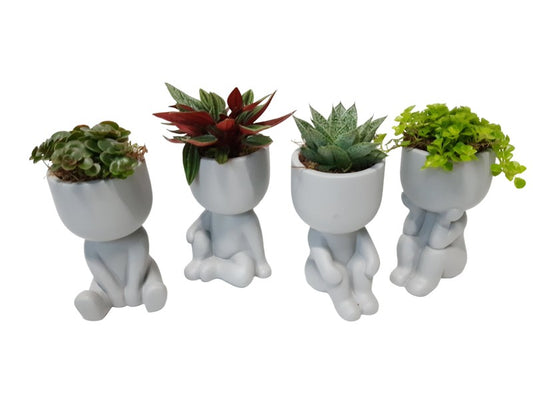 Compo Chillings Grey