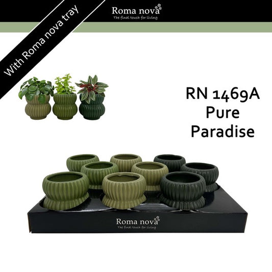 Ceramic Pure Paradise