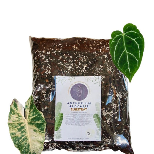 Substrate PlantNest Alocasia&Anthurium 3L