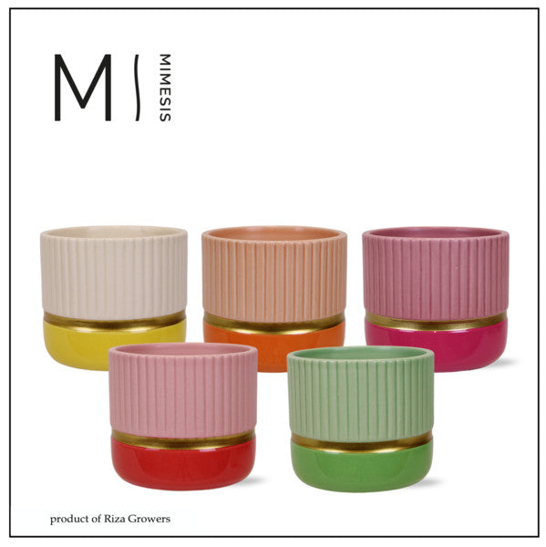 Ceramic Pot Jamaica