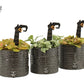 Fittonia Halloween Pot