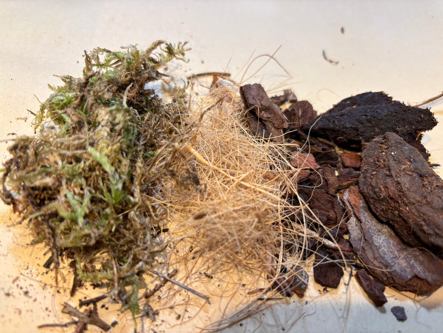 Moss Pole Filler Mix - Airy Blend for Climbing Plants