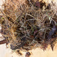 Moss Pole Filler Mix - Airy Blend for Climbing Plants
