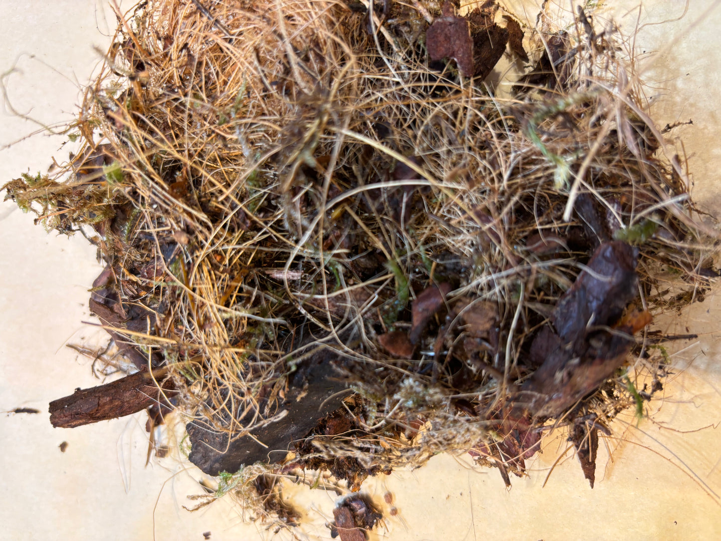 Moss Pole Filler Mix - Airy Blend for Climbing Plants