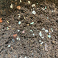 Houseplant Soil - Moisture Loving Soil Mix
