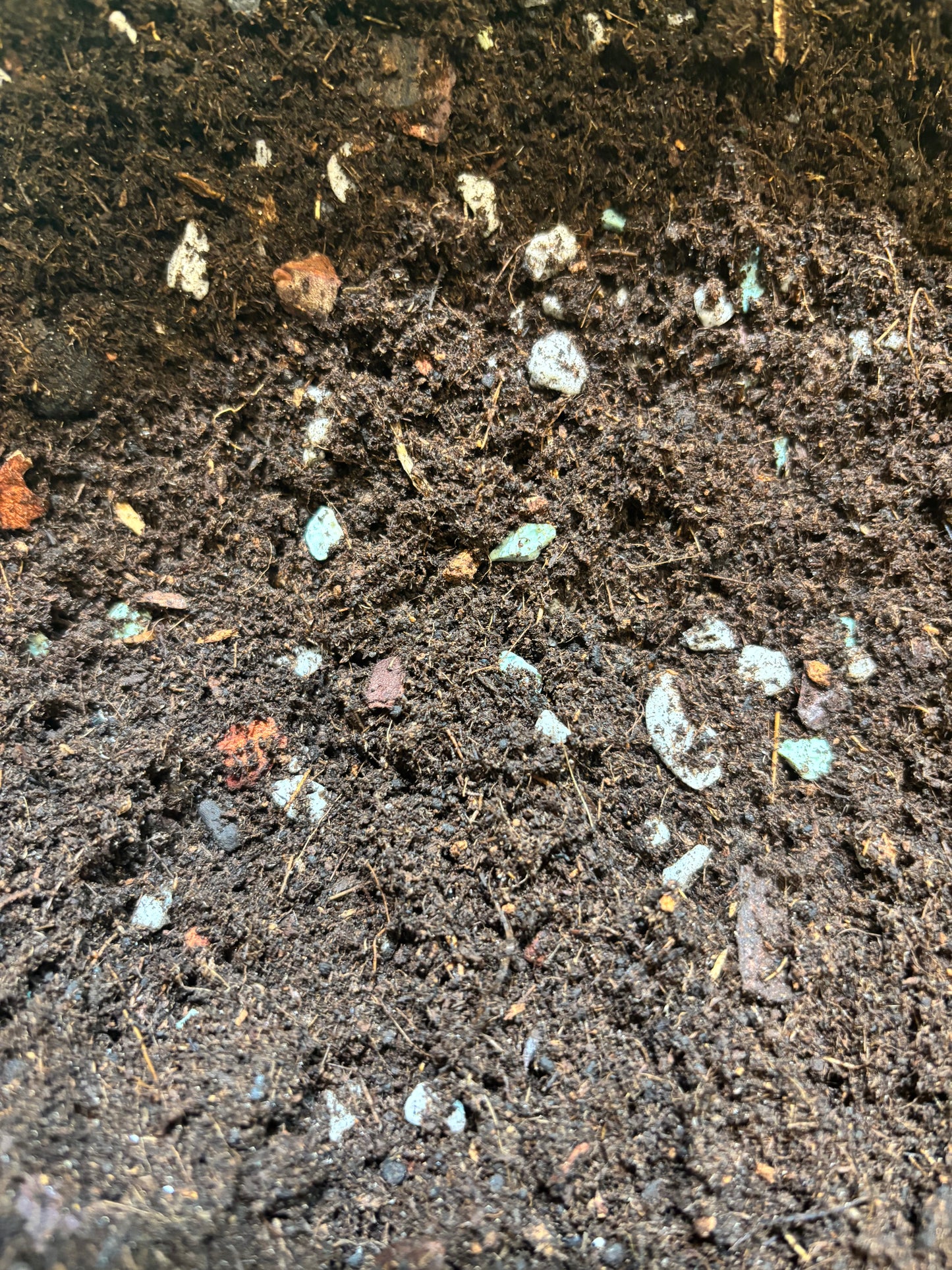 Houseplant Soil - Moisture Loving Soil Mix