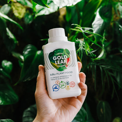 Plant Food Liquid Gold Leaf