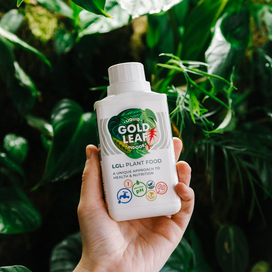 Plant Food Liquid Gold Leaf